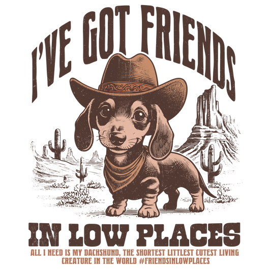 Friends In Low Places Single DTF Transfers